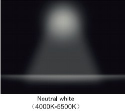 нейтр-белый:4000-5500k